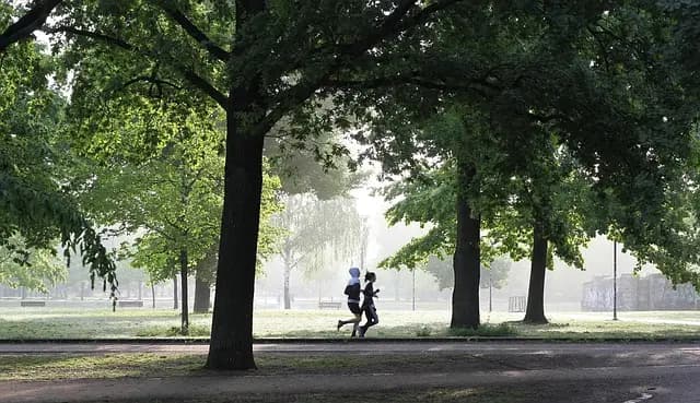 Los Beneficios de Practicar Ejercicio al Aire Libre