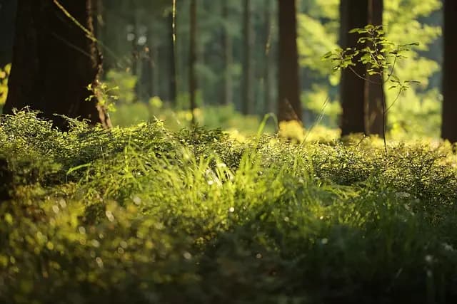 Cómo Integrar Prácticas de Mindfulness en Tu Vida Diaria