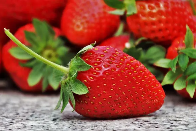 Cómo la Alimentación Consciente Transforma Tu Bienestar