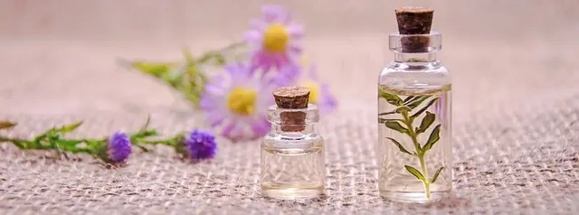 10 Beneficios Sorprendentes de la Aromaterapia para Tu Bienestar
