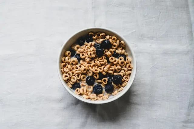 Cómo la Alimentación Afecta Tu Bienestar General