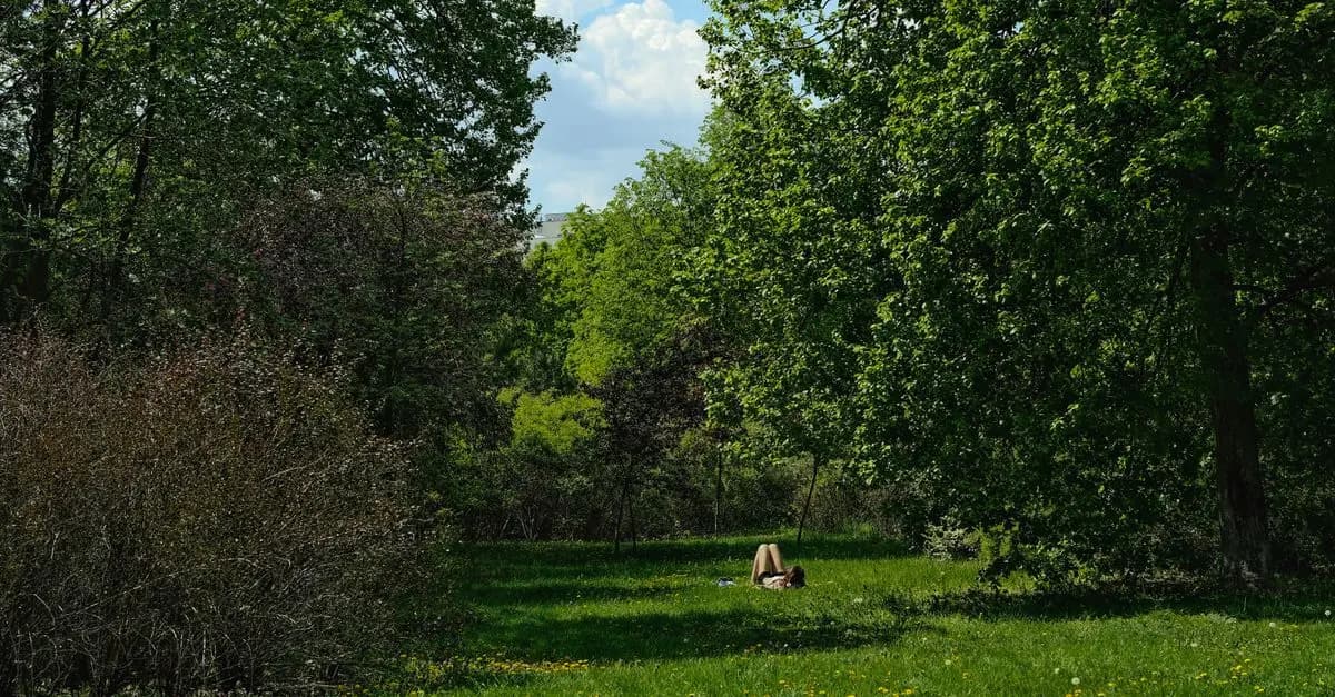 El Poder del Pensamiento Positivo en la Vida Diaria