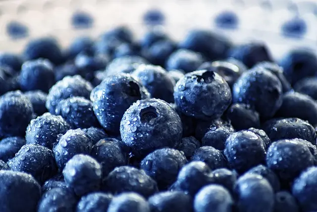 Cómo la Alimentación Basada en Plantas Mejora Tu Bienestar