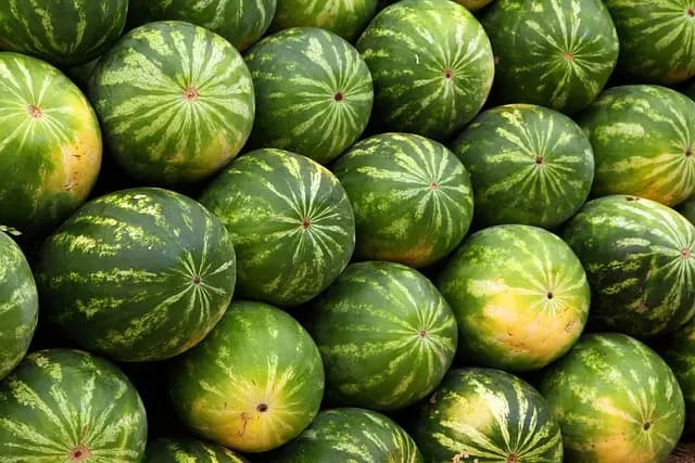 Cómo la Alimentación Consciente Mejora Tu Bienestar Emocional