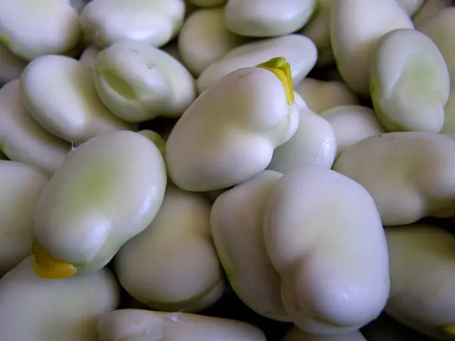 Cómo la Alimentación Consciente Aumenta Tu Bienestar Emocional