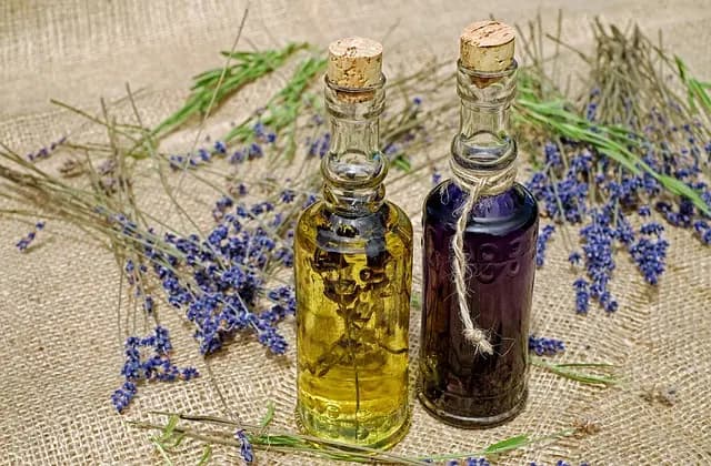 Cómo la Aromaterapia Puede Transformar Tu Bienestar Emocional