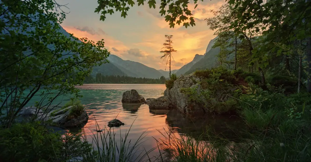 Cómo la Naturaleza Mejora Tu Bienestar Emocional y Mental