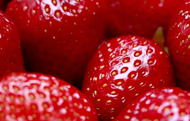 Cómo la Alimentación Consciente Aumenta Tu Bienestar Emocional