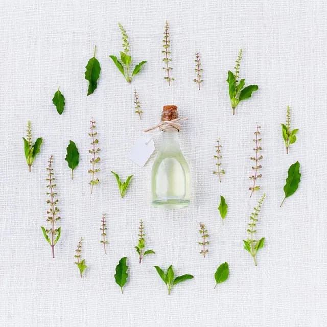 Cómo la Aromaterapia Transforma Tu Bienestar Emocional