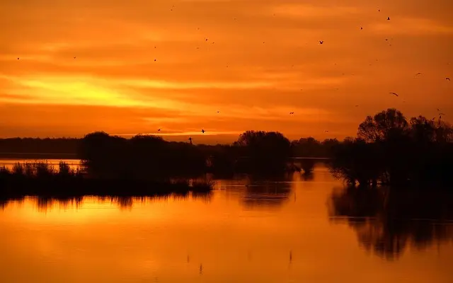 Cómo la Naturaleza Puede Potenciar Tu Bienestar Emocional