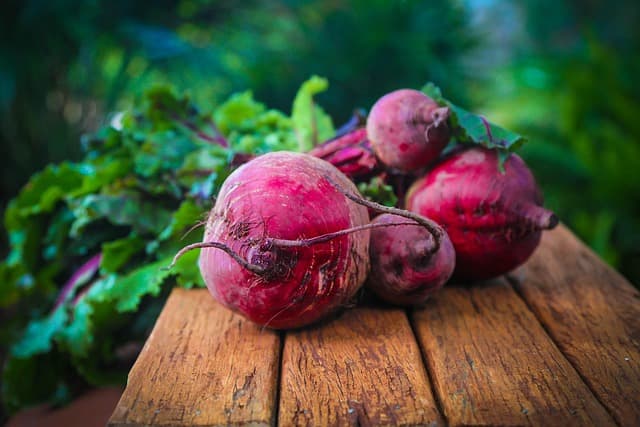 Cómo la Alimentación Influye en Tu Bienestar General