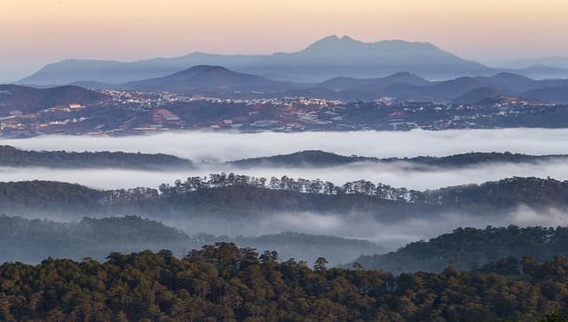Cómo Aumentar Tu Bienestar Emocional a Través de la Naturaleza