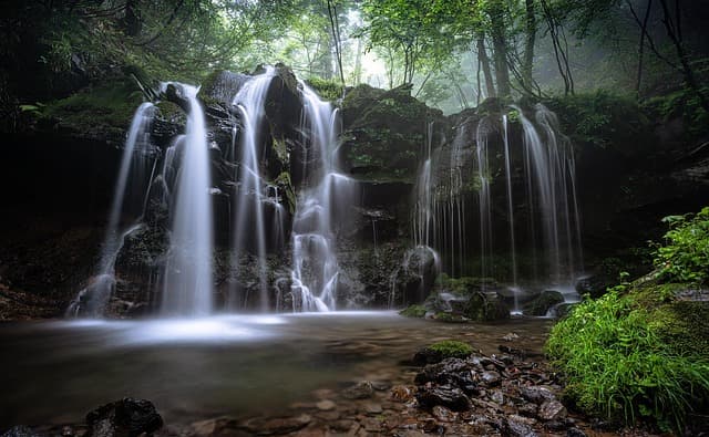 Cómo la Naturaleza Influye en Tu Bienestar Emocional